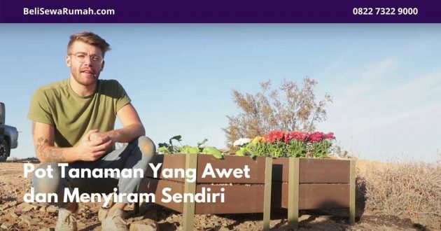 Pot Tanaman Yang Awet dan Menyiram Sendiri - BeliSewaRumah